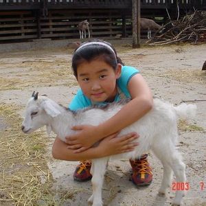 Profile Picture of Verna Gao (@sweetsnchocolate) on Myspace