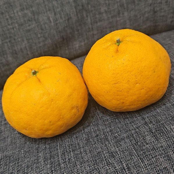 Profile Picture of Peter Hn (@peter.kj.h) on Tiktok