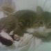 Profile Picture of Julie Callaghan (@julie.callaghan.963) on Facebook