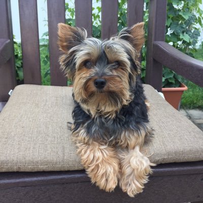 Profile Picture of Mike Coscia (@mikecoscia) on Twitter