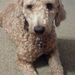 Profile Picture of sage hansen (@hansemi1) on Pinterest