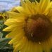 Profile Picture of Kathy Behrendt (@kathy.behrendt.5) on Facebook