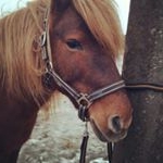 Profile Picture of Liisbeth Fuchs (@liisbethfuchs) on Instagram