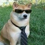 Profile Picture of Davi Shinodo (@davishinodo) on Instagram