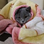 Profile Picture of Hanna Hebda (@Hanna-Hebda) on Facebook