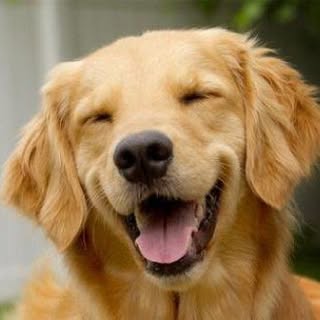 Profile Picture of Tina Gonsalves (@tinamariegonsalves) on Instagram