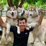 Profile Picture of Thomas Bonini (@thomas.bonini) on Instagram