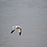 Profile Picture of Todd Sage (@sagephotography4u) on Flickr