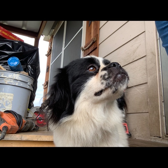 Profile Picture of Yessenia Alvarez (@alvyes1020) on Poshmark