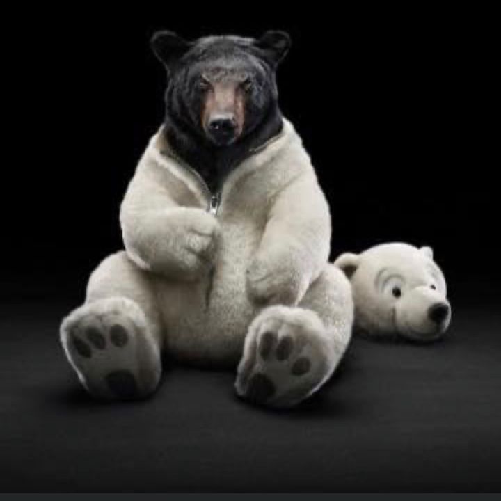 Profile Picture of Dwayne Jenkins (@bamasugarbear) on Tiktok