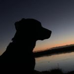 charles vidal - Instagram Profile Picture of charles vidal (@nice_vdl.off) on Instagram