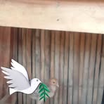 Profile Picture of Jasmina Sandoval (@Jasmina-Sandoval) on Facebook