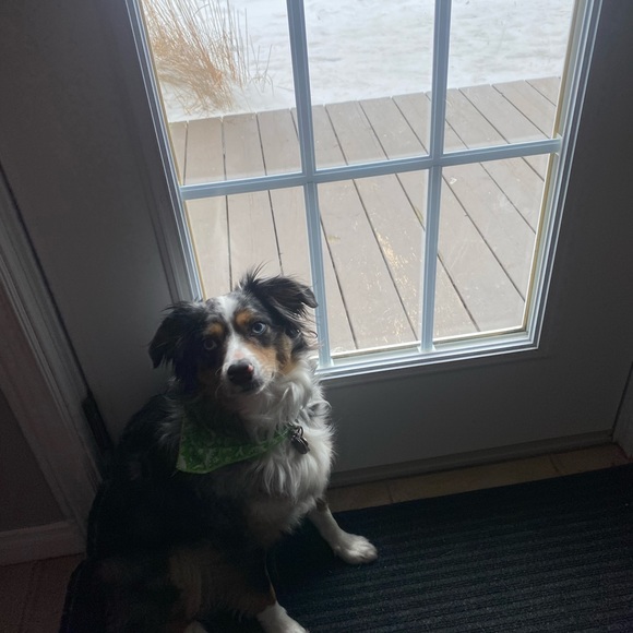 Profile Picture of Julia Perreault (@juliaperreault) on Poshmark