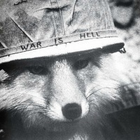 Alma Albarran Caccia - Twitter Profile Picture of Alma Albarran Caccia (@nowevenojewo) on Twitter