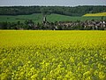 Profile Picture of Thorigny-sur-Oreuseon Wikipedia