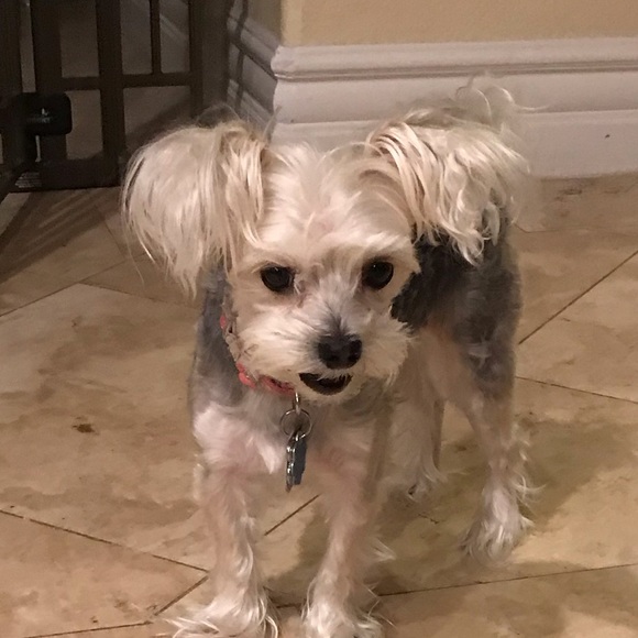 Profile Picture of Hee Choi (@heekoo) on Poshmark