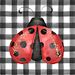 Profile Picture of Betty Bug Rocks (@bbug0002) on Pinterest