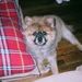 Profile Picture of Jimmy Rivera (@bigdogjim2599) on Pinterest