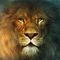 Profile Picture of Carlos Farias (@carlos.farias.7121) on Facebook