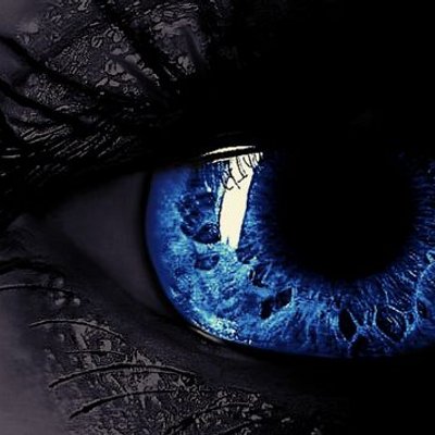 Profile Picture of Michael Sandoval (@msand151) on Twitter