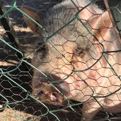 Profile Picture of Tom V Hannigan (@tvhannigan) on Twitter