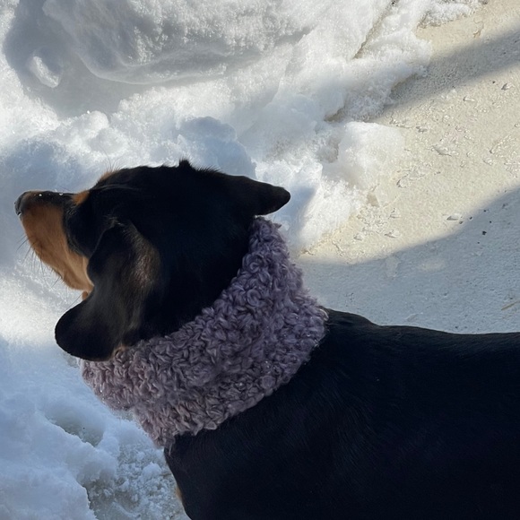 Profile Picture of Christine Vannatter (@christinevannat) on Poshmark