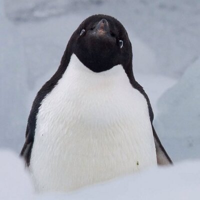 Profile Picture of Matthew Percy (@mjpercy) on Twitter