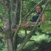 Profile Picture of Blake Huffman (@blake.huffman.374) on Facebook