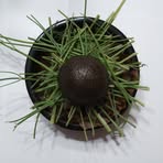 Profile Picture of Stuart Loten (@Stuart-Loten) on Facebook