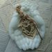 Profile Picture of Helen Stevens (@helmarvens) on Pinterest