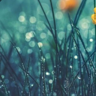 Profile Picture of Krysten Smith (@Krysten46723722) on Twitter