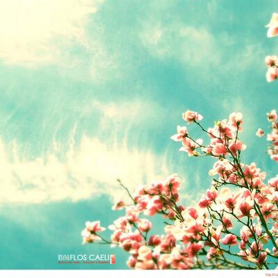 Profile Picture of Sam.awad (@samawad6) on Twitter