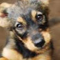 Profile Picture of Shayla Hayes (@shayla-hayes-8) on Quora