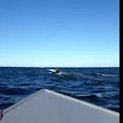 Profile Picture of Kevin Herring (@kevinherring1604) on Youtube