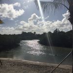 Profile Picture of Cheryl Landers (@cbearzy12) on Instagram