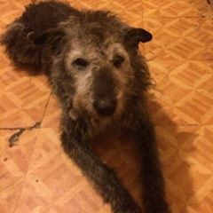 Profile Picture of Terence Hughes (@terencehughes5) on Tiktok