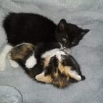 Profile Picture of Maks Sobecki (@maks._.sobecki) on Instagram