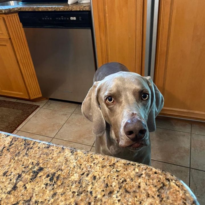 Profile Picture of Ralph Gerace (@ralphgerace) on Tiktok