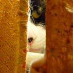 Profile Picture of Onemillionearths (@onemillionearths) on Flickr
