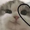 Profile Picture of keith (@rtvmil_) on Tiktok