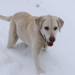 Chris Held - Instagram Profile Picture of Chris Held (@held_chris) on Instagram