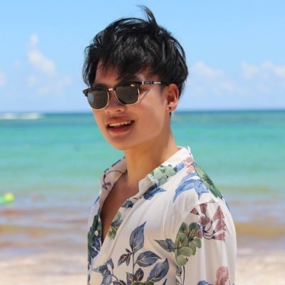 Profile Picture of Quoc-thinh Nguyen (@H0Sai) on Twitter