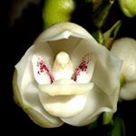 djuliawatihartono - Instagram Profile Picture of djuliawatihartono (@juliawati.hartono) on Instagram