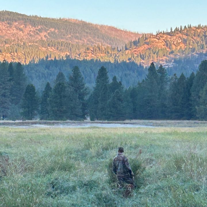 Profile Picture of Curtis Louie (@curtis.louie) on Tiktok
