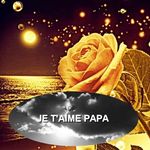 Profile Picture of Sonia Francois Scarpitta (@sogne52) on Instagram