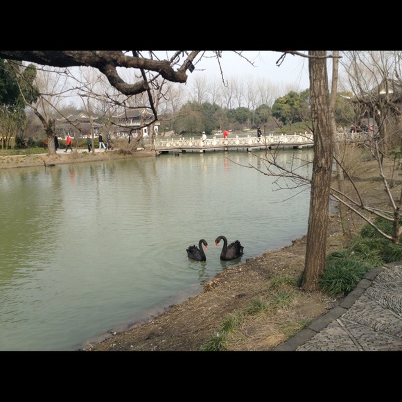 Profile Picture of Min Feng (@monicafeng) on Poshmark