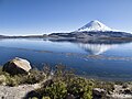 Profile Picture of Chungará Lakeon Wikipedia