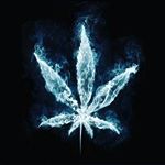 Profile Picture of Jesse_lopez (@young_savage_jesse) on Instagram