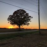 Profile Picture of Chris Felix (@coolaid_chris) on Instagram