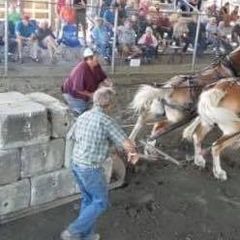 Profile Picture of Keith Bergeron245 (@keithbergeron245) on Tiktok